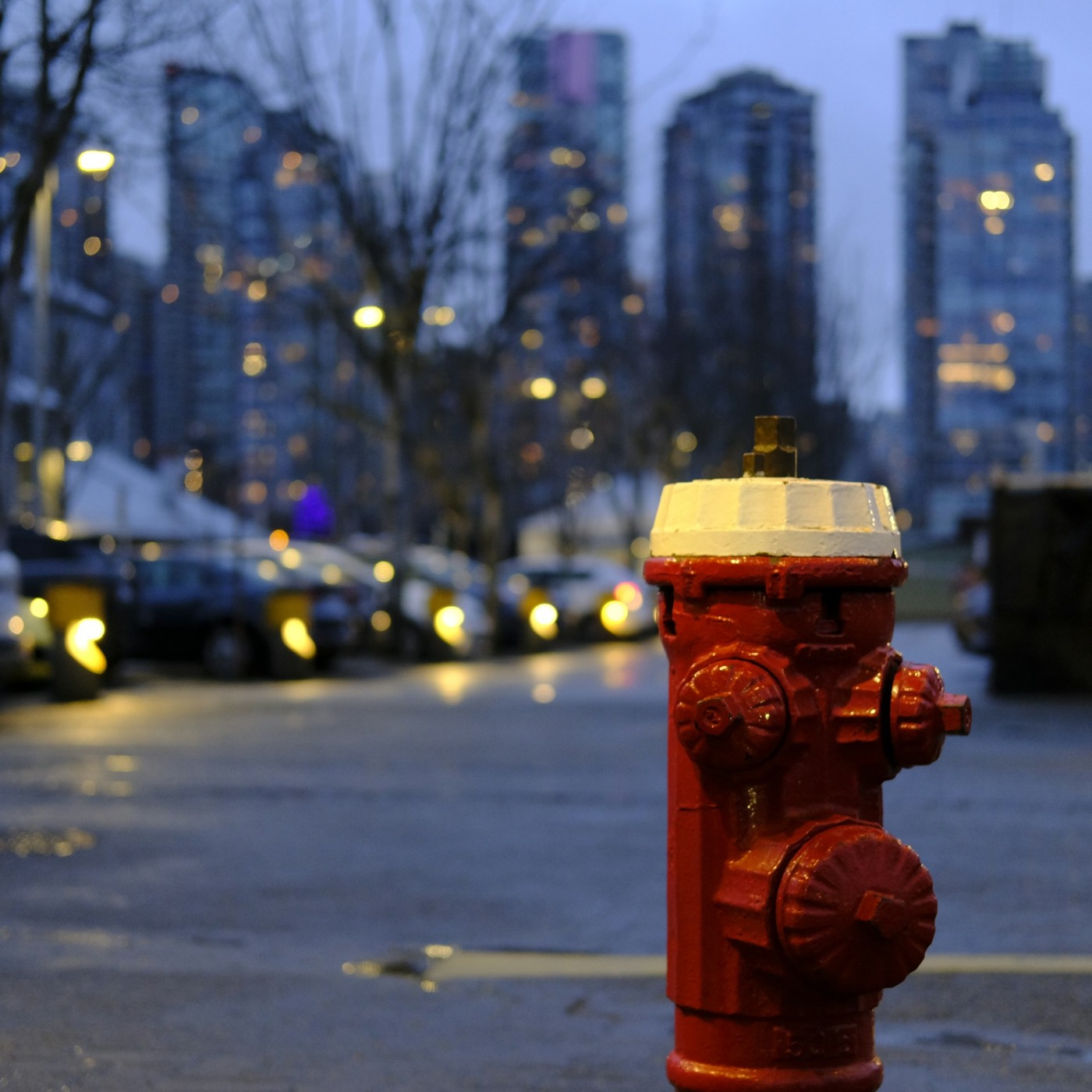 Red fire hydrant in sharp focus against a blue-hour city skyline and wet street